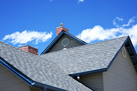 Don't Let Your Roof Become a Buffet for Gloeocapsa Magma: Why Regular Roof Washing Matters